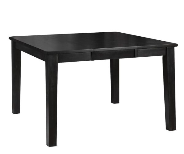 2419 sasha table