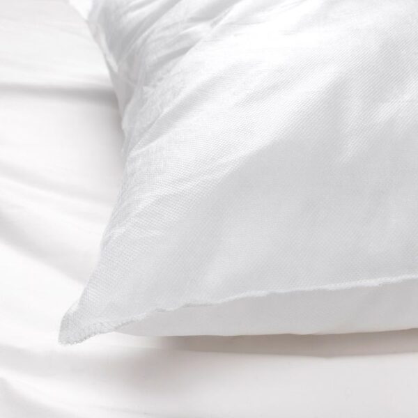 WhatsApp Image 2025 05 20 at 12.58.28 PM